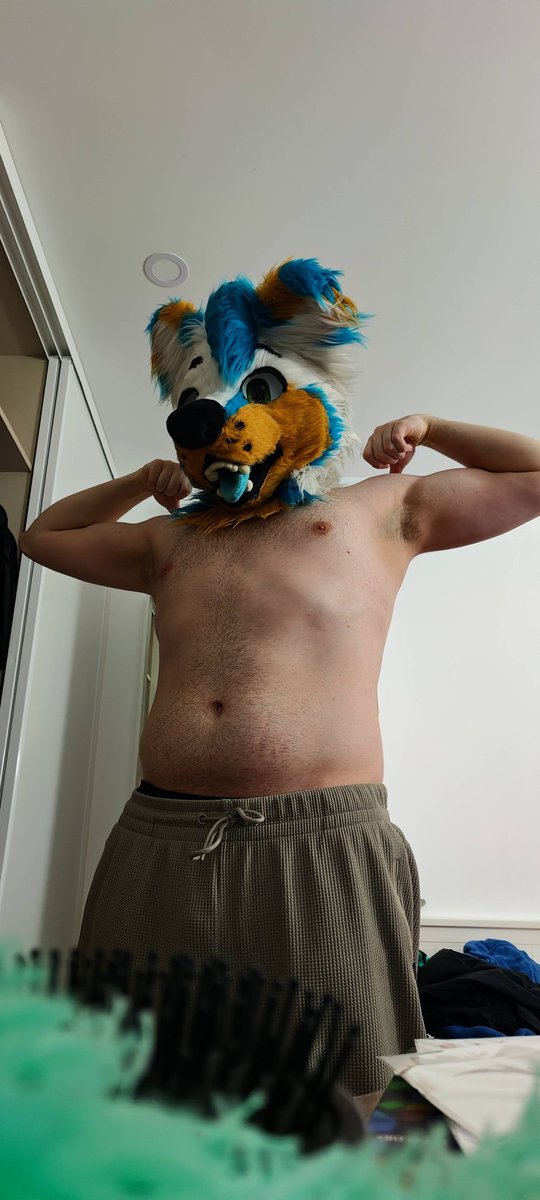 Dio_Furry ✨🇵🇹 HimboFolf ✨NFC 2026 ❤️ tweet media