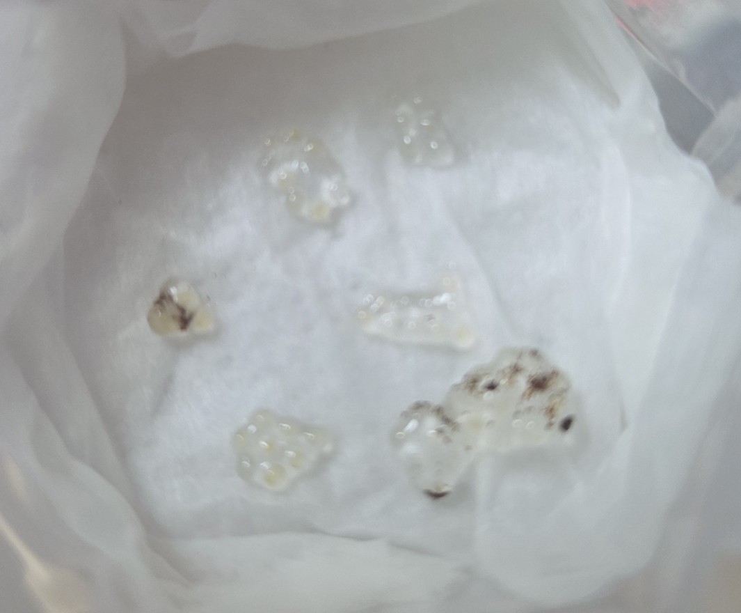 양깅 달팽이 계정 tweet media