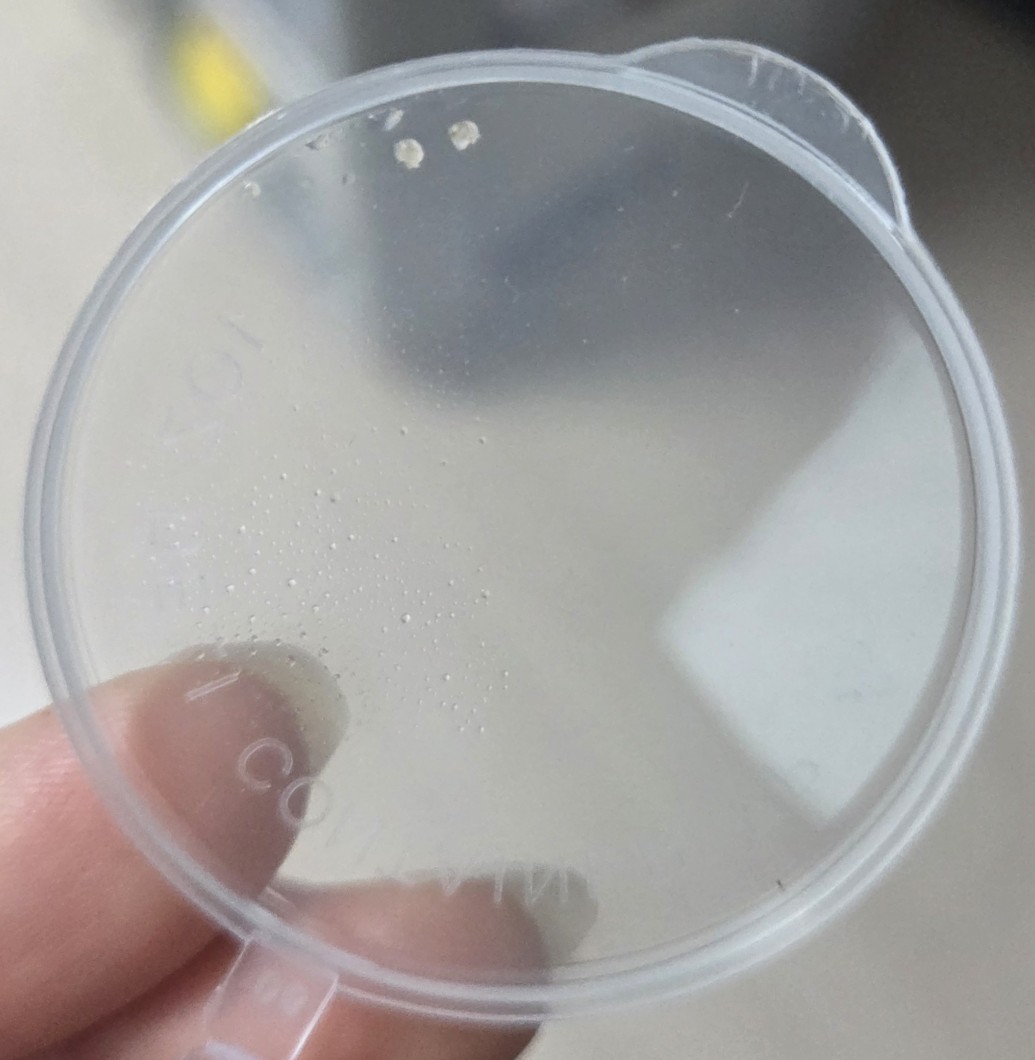 양깅 달팽이 계정 tweet media