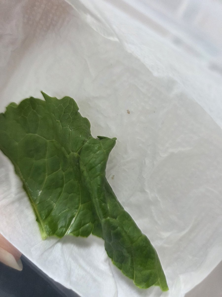 양깅 달팽이 계정 tweet media