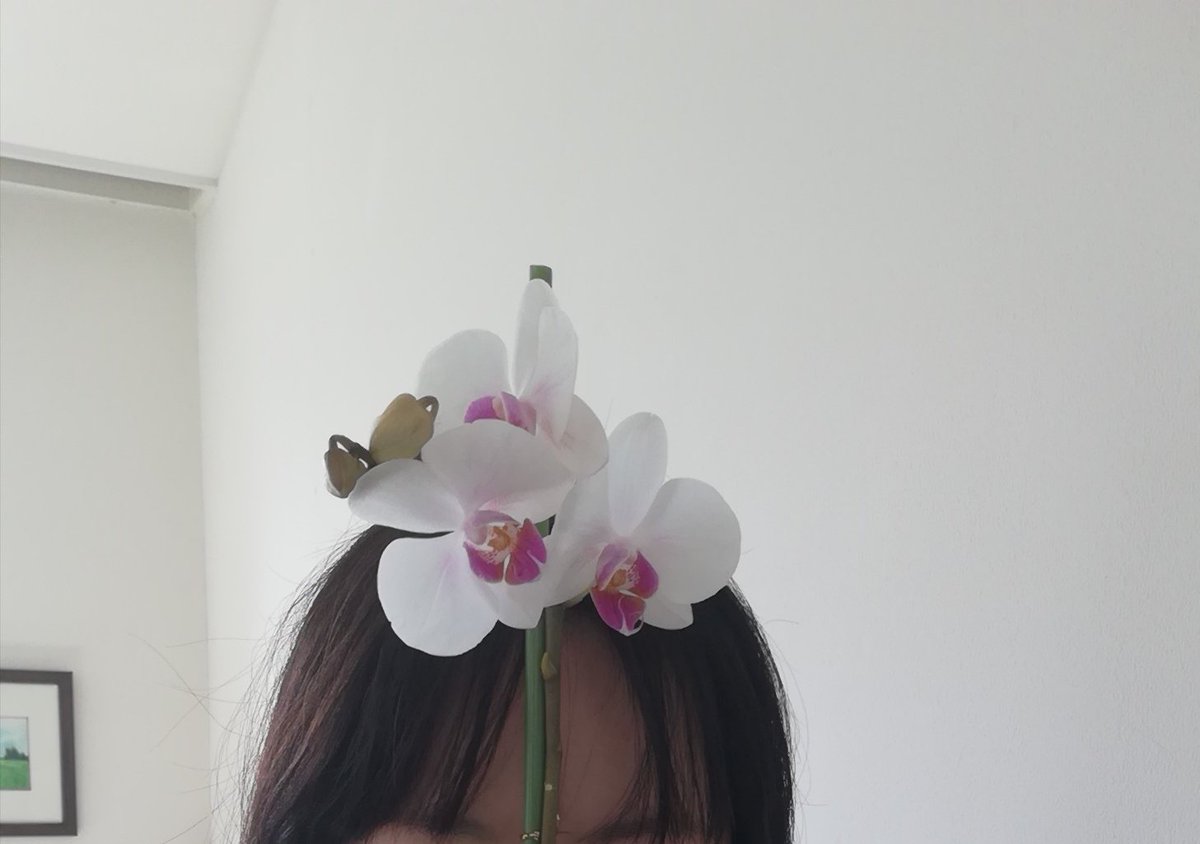 牡丹亭 tweet media