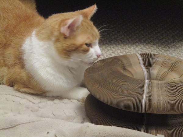 h2g2 Guide Editors tweet media