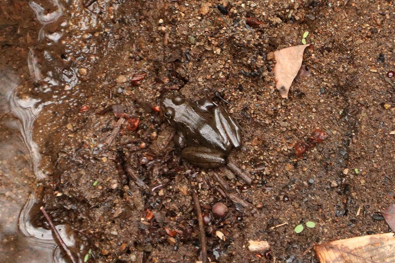 神奈川県立秦野ビジターセンター tweet media