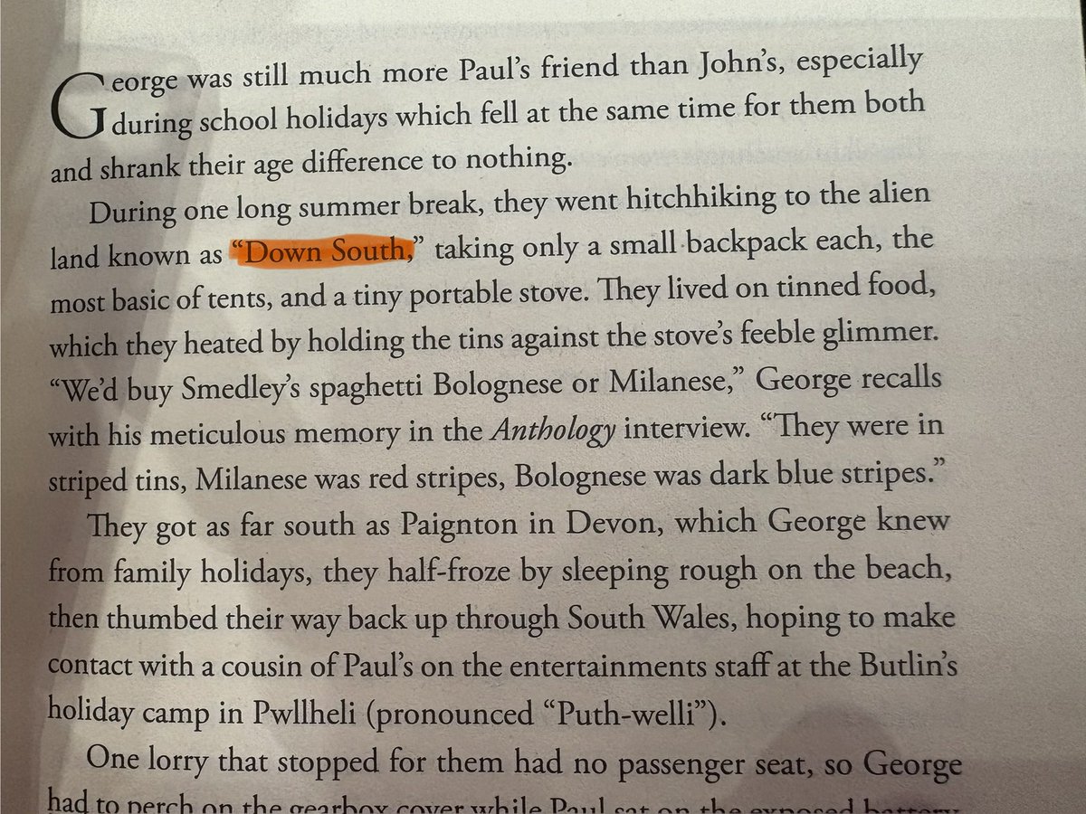 stella🦕🐦‍⬛ tweet media