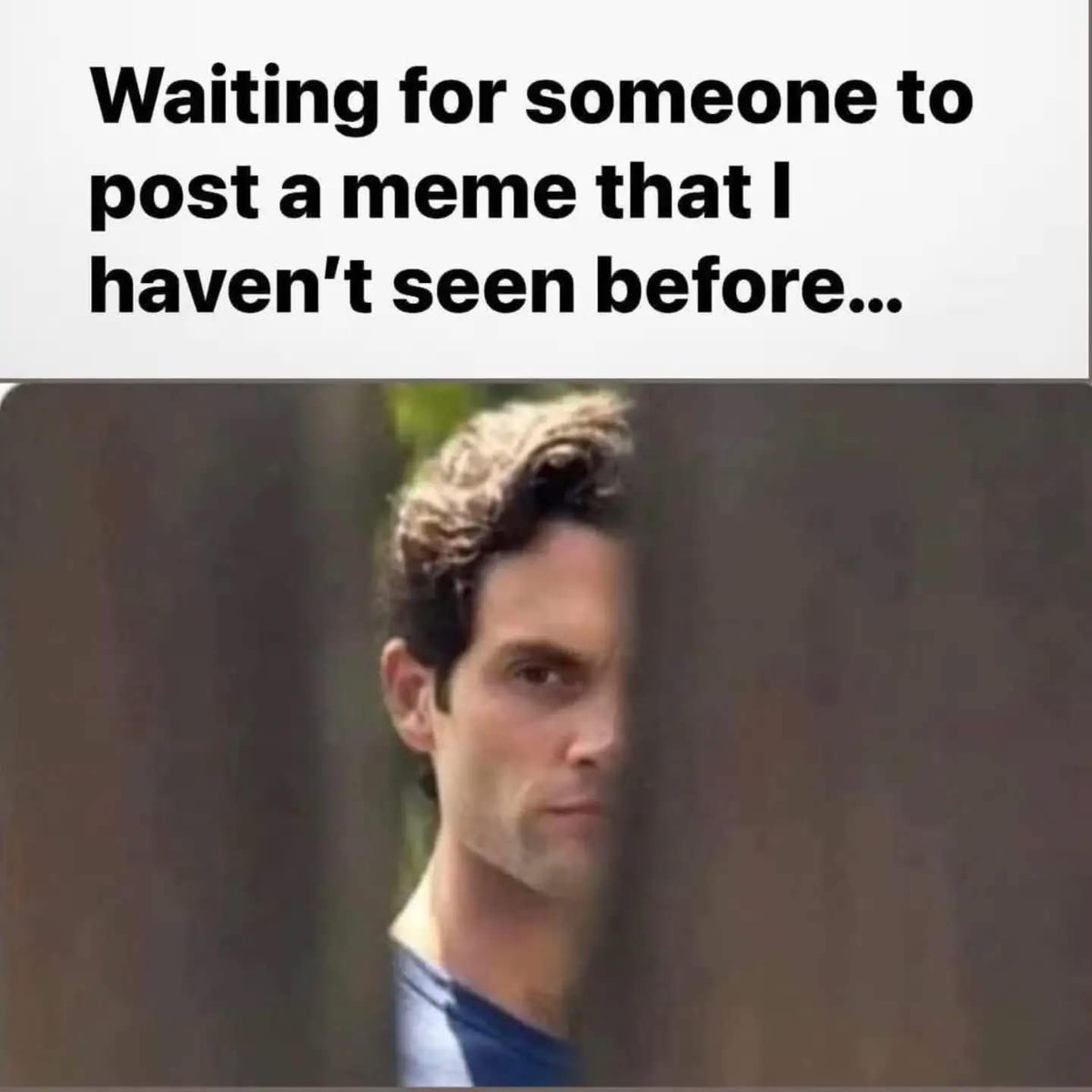 Mistress Dividend tweet media