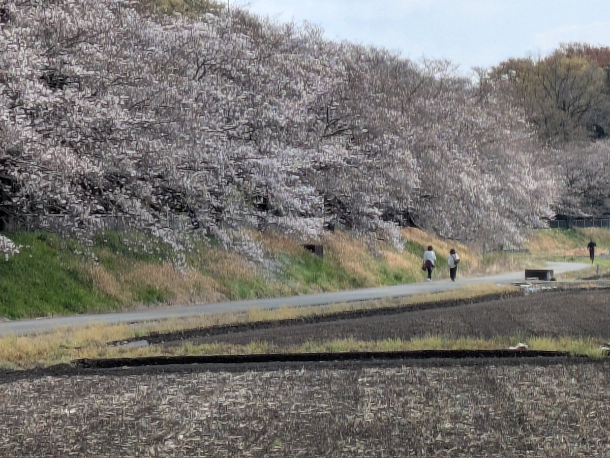 WanqMaruinu's tweet photo. 6分くらいかな？ https://t.co/HEyG4j6T5A
