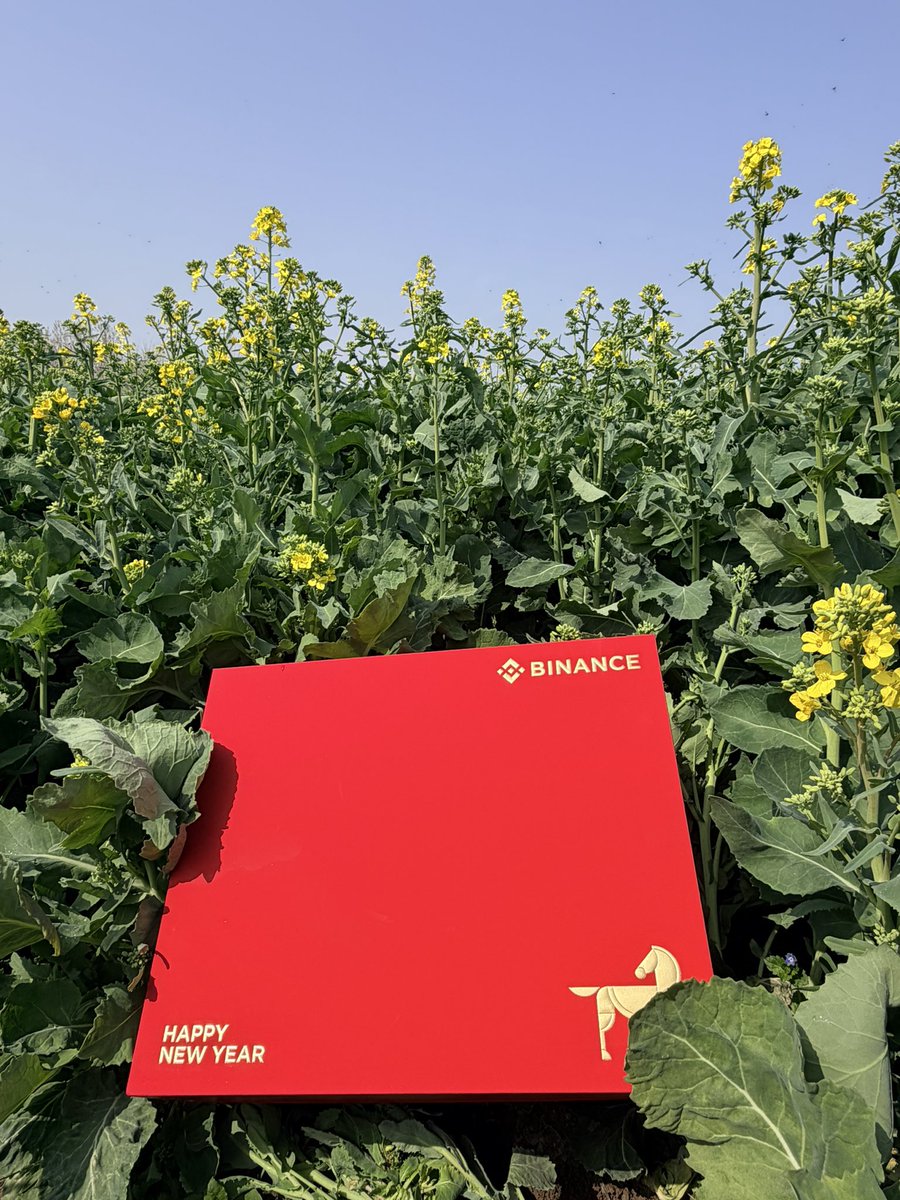 开挂的金兔子☯️🍊 tweet media