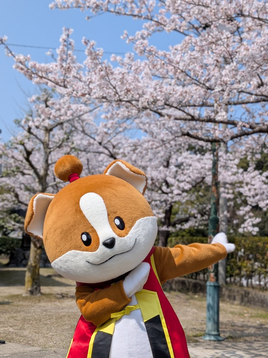 わん丸君 tweet media