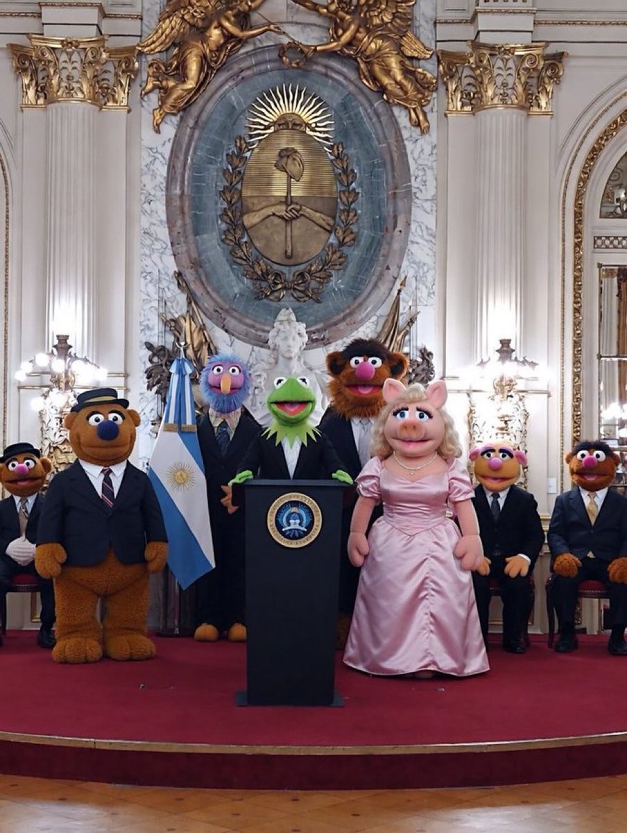 Barbarella Carlotto tweet media