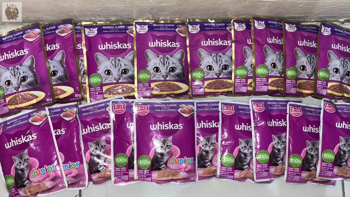 UNDIP MENFESS tweet media