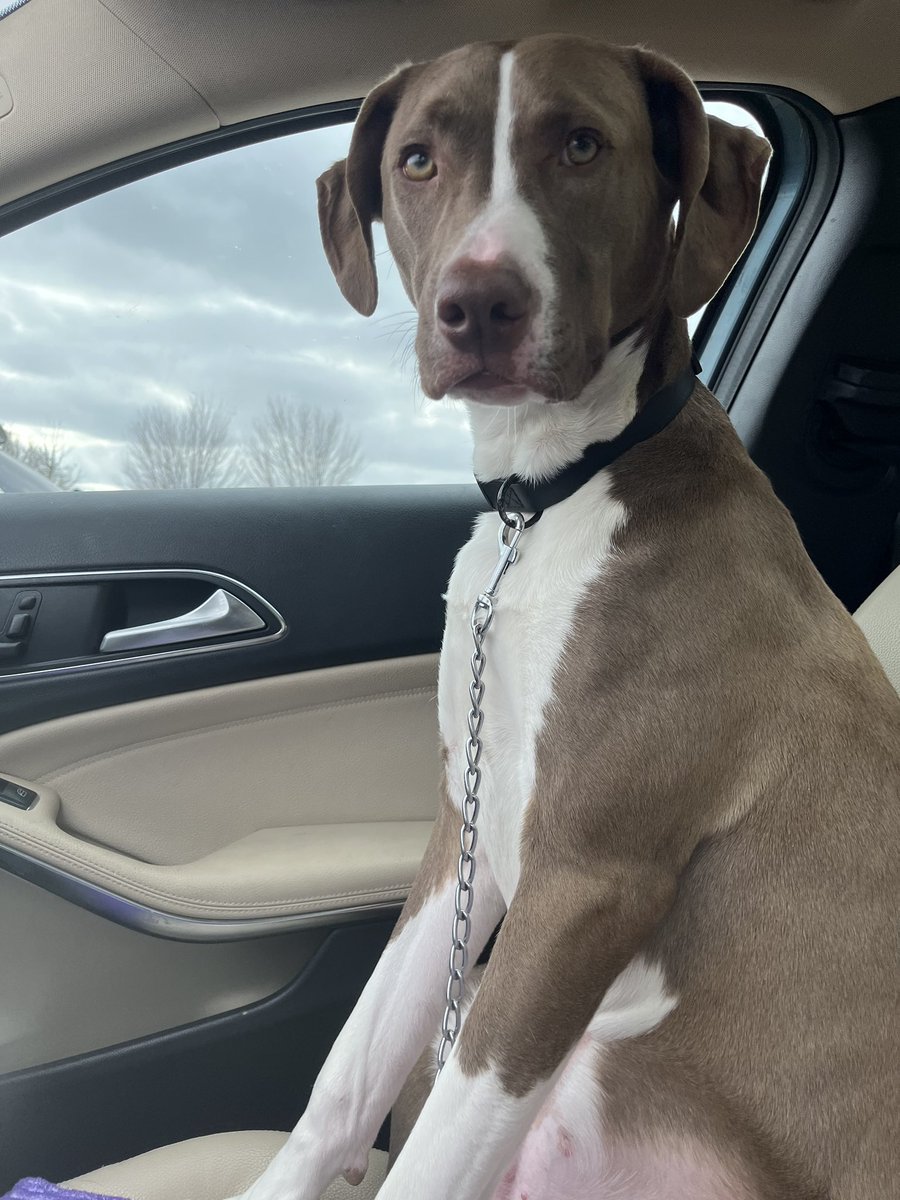 💯StrengthsMind💯 tweet media