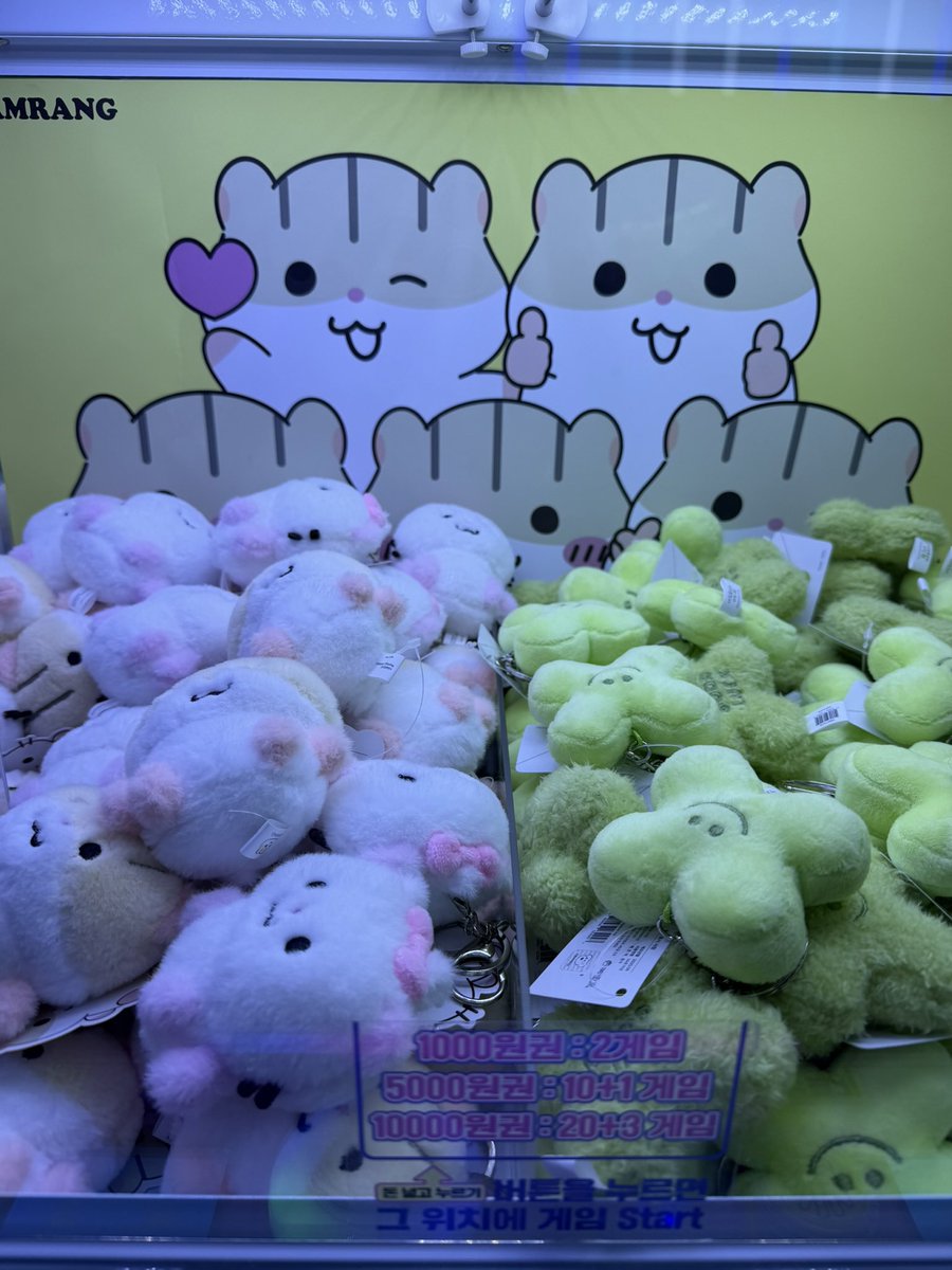 bre ౨ৎ tweet media