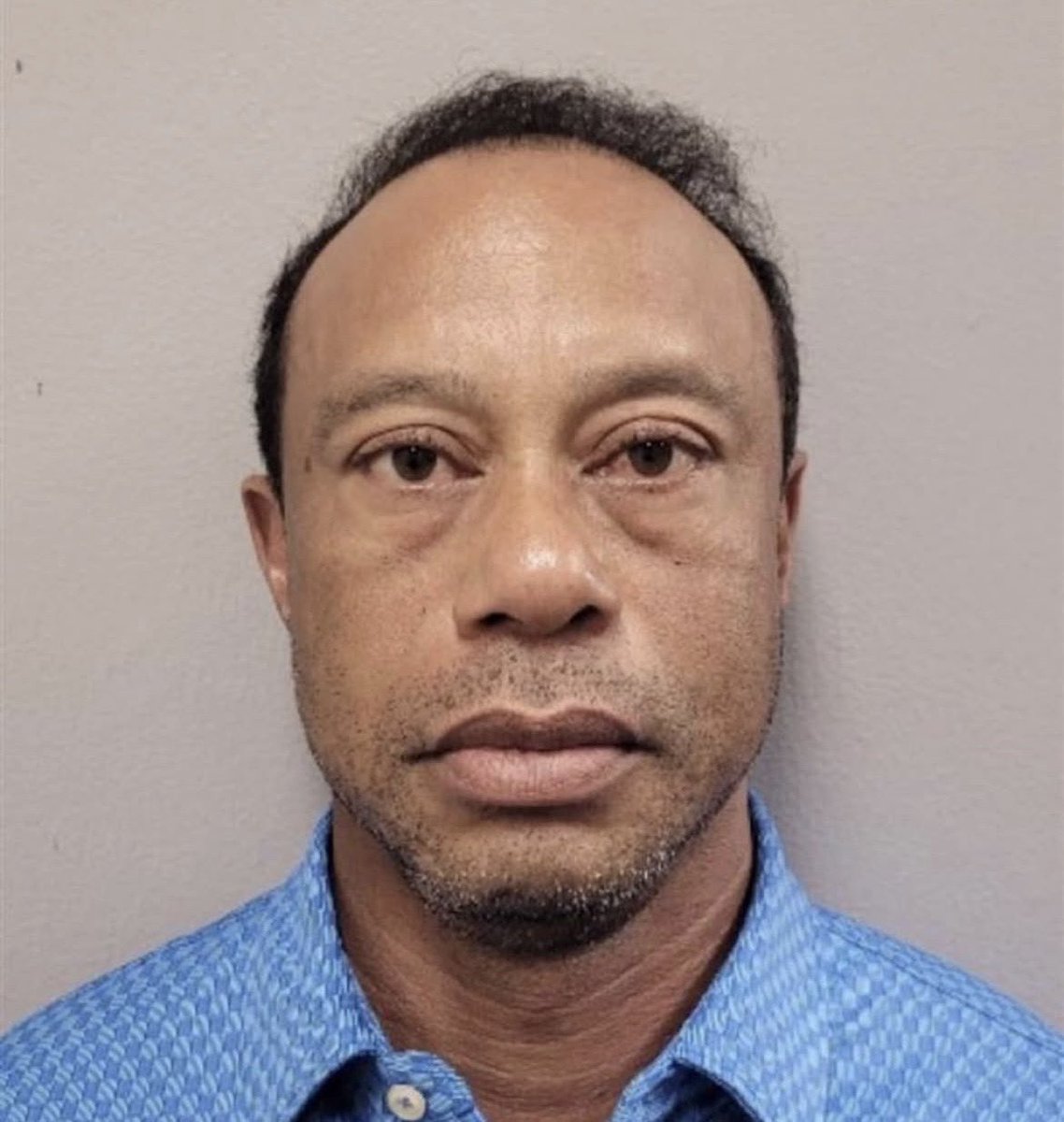 Ähepp ⚜️ tweet media