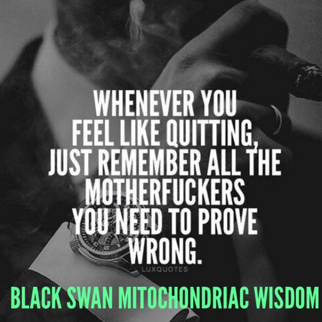 Dr Jack Kruse tweet media