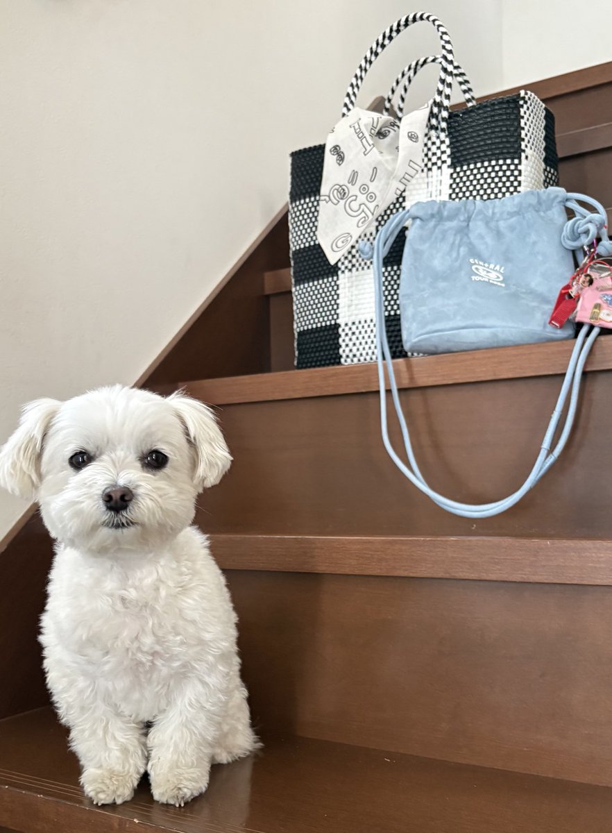 あすちゃん 𓃕ˊ˗ 𓌉𓇋 ☕︎ ࿐⋆꙳ tweet media