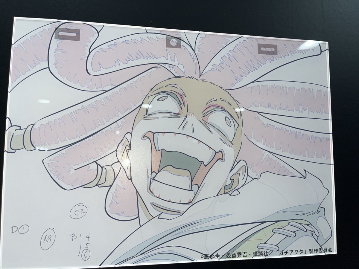 こんにゃく tweet media