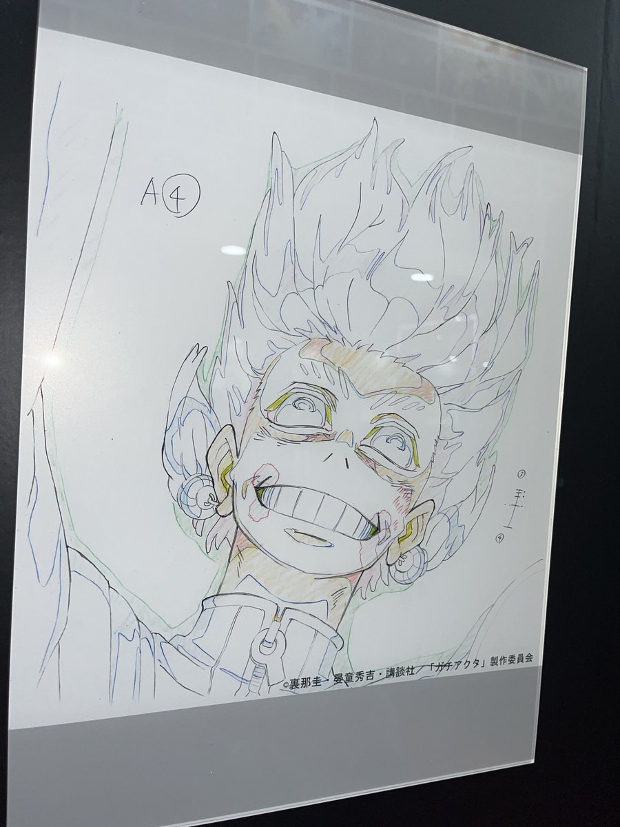 こんにゃく tweet media