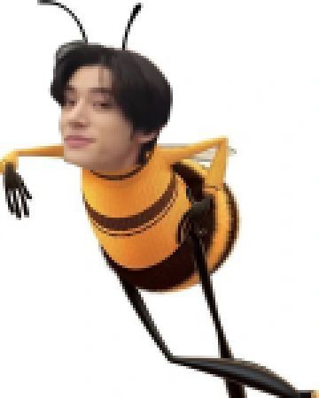 °angie. ENHYPEN IS SEVEN tweet media