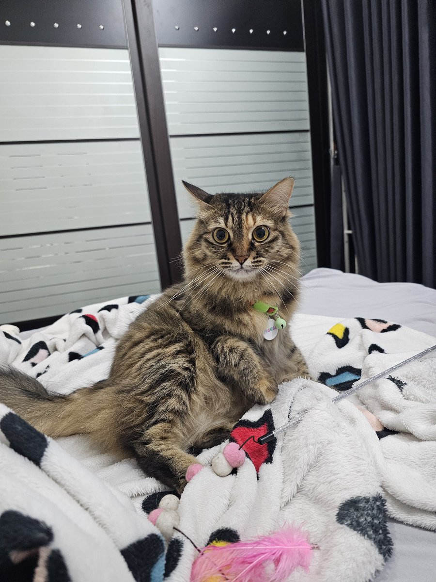 Coffee bae tweet media