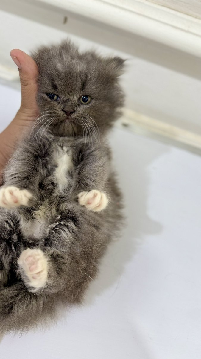 SummerHangouts tweet media