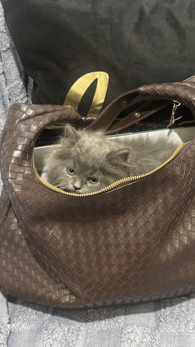 SummerHangouts tweet media