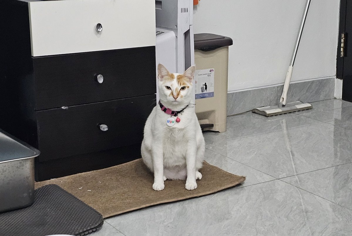 Coffee bae tweet media