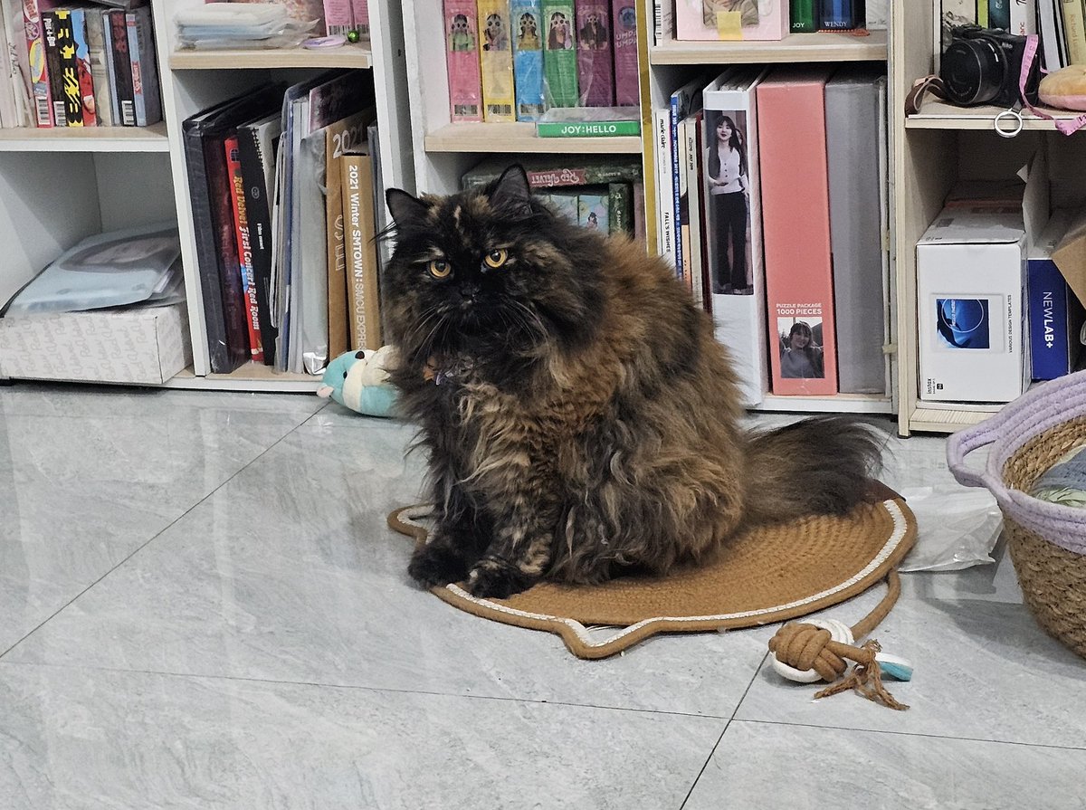 Coffee bae tweet media