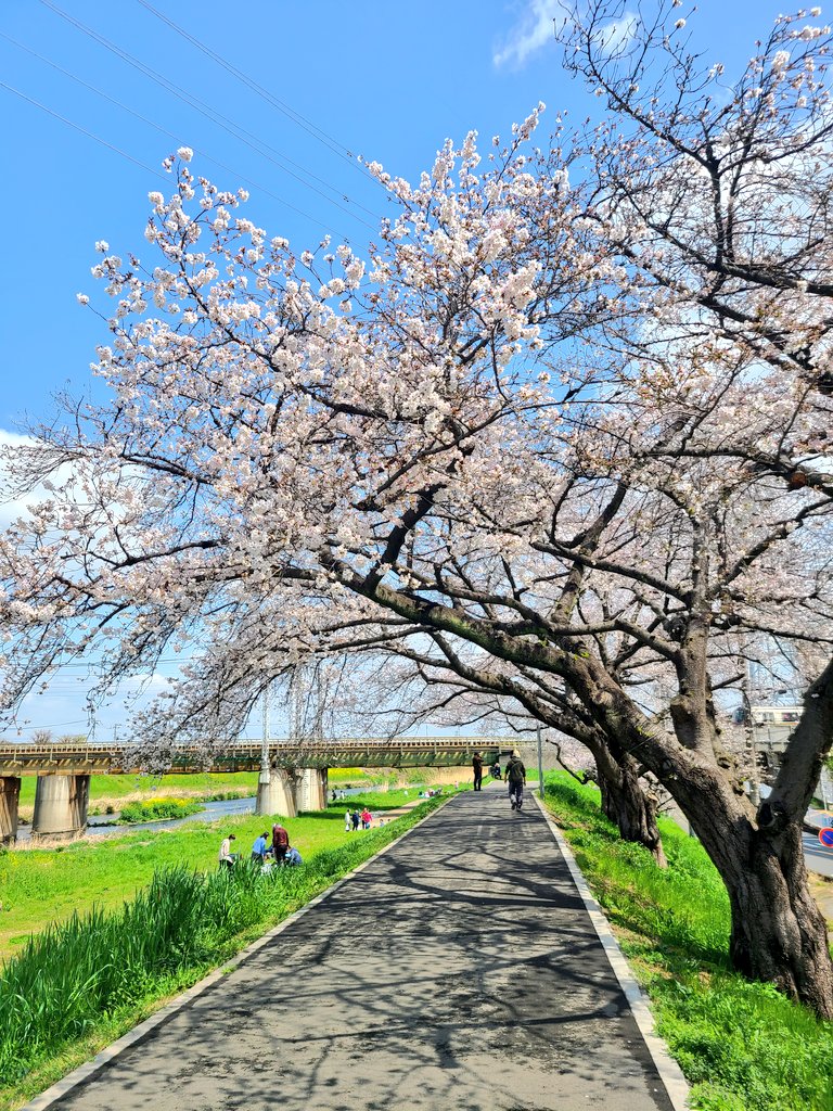 うさたか tweet media