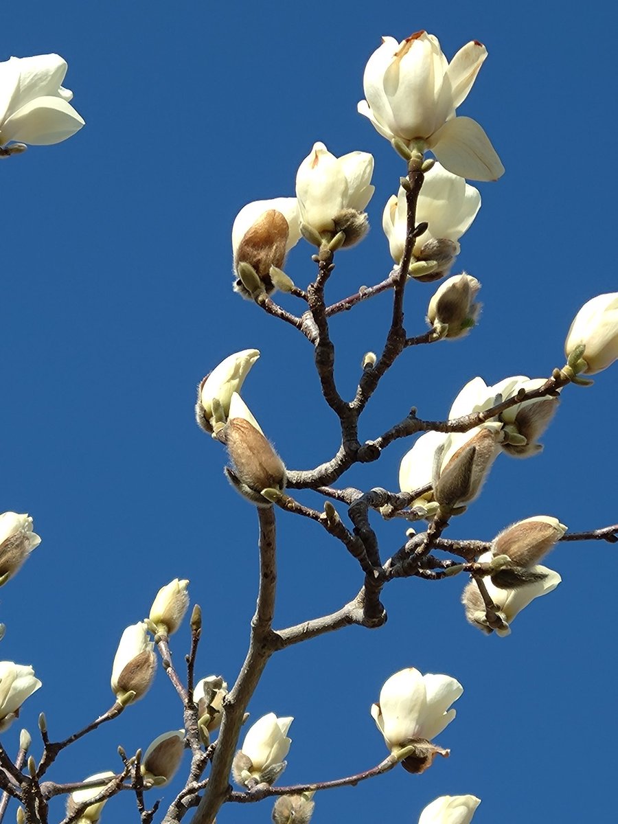 brokenburgh tweet media