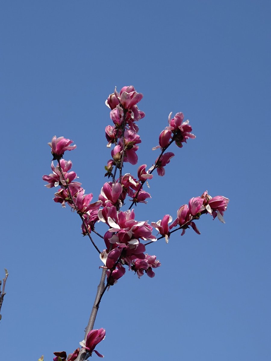 brokenburgh tweet media