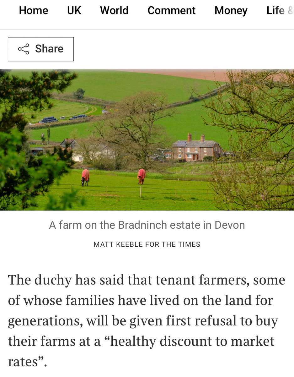 Carmella tweet media