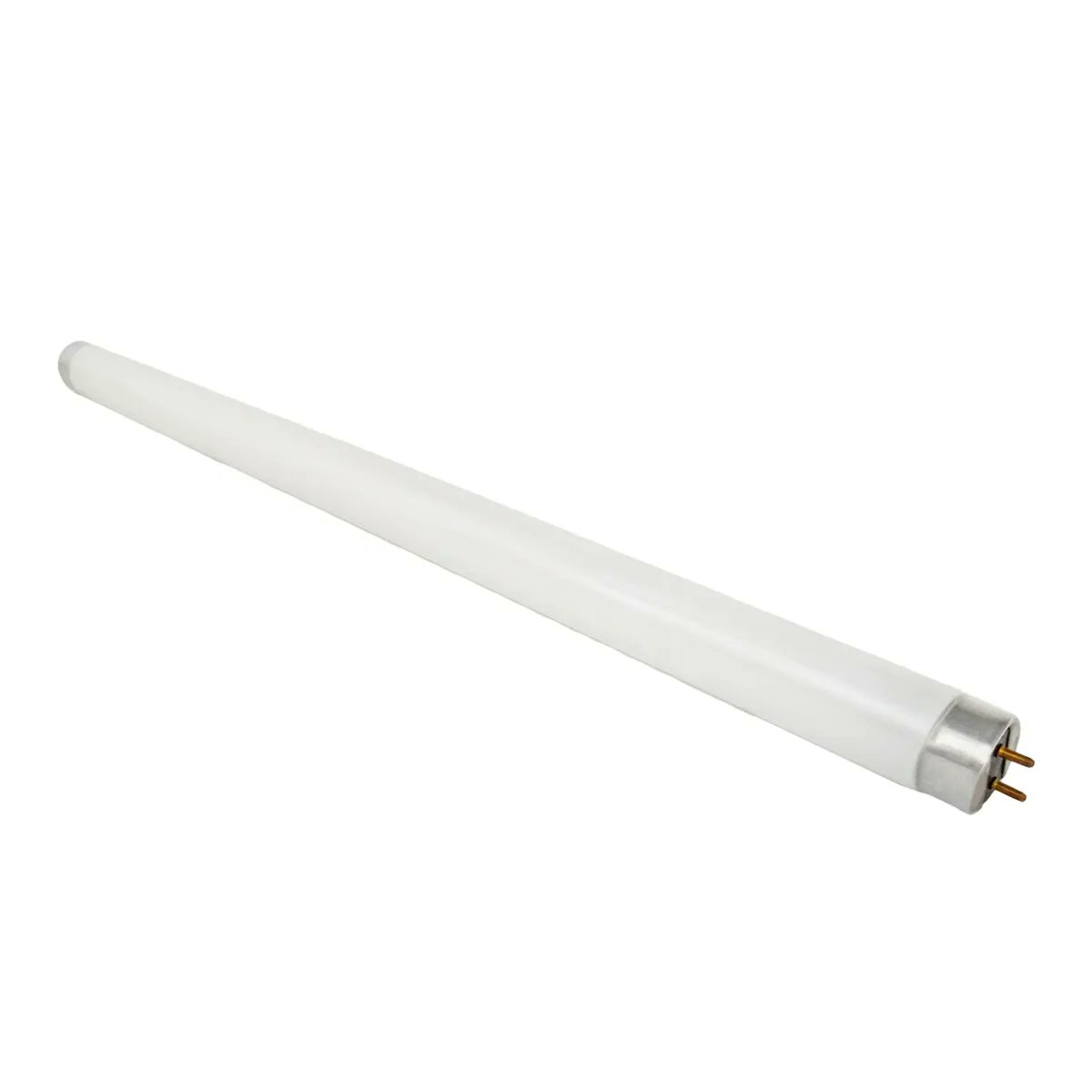 paulo vinicius tweet media