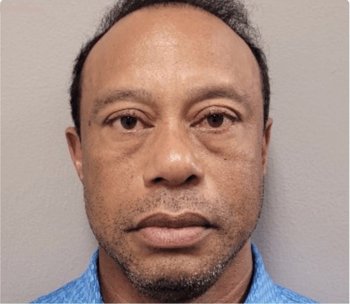 Country Club Snob tweet media