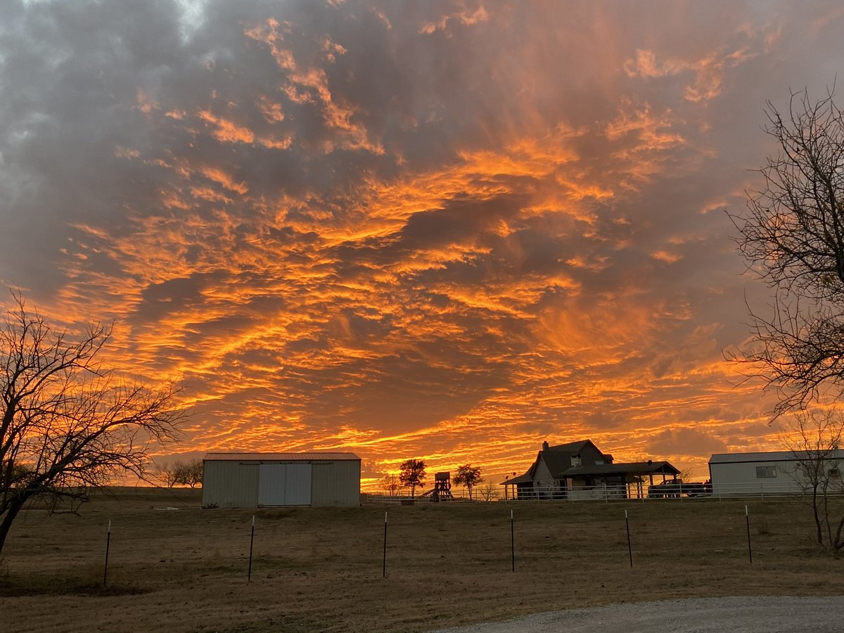 Eric Bricker, MD tweet media