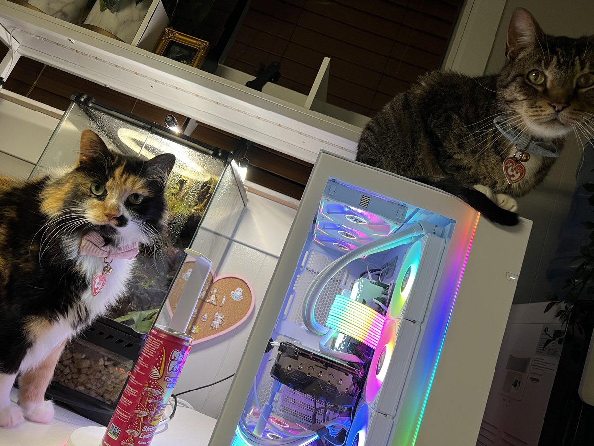 💜 PARTNER PUSH MOTH tweet media