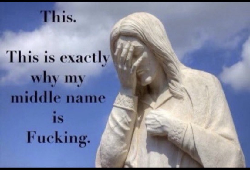 Mike - Elon ruined the bird app tweet media