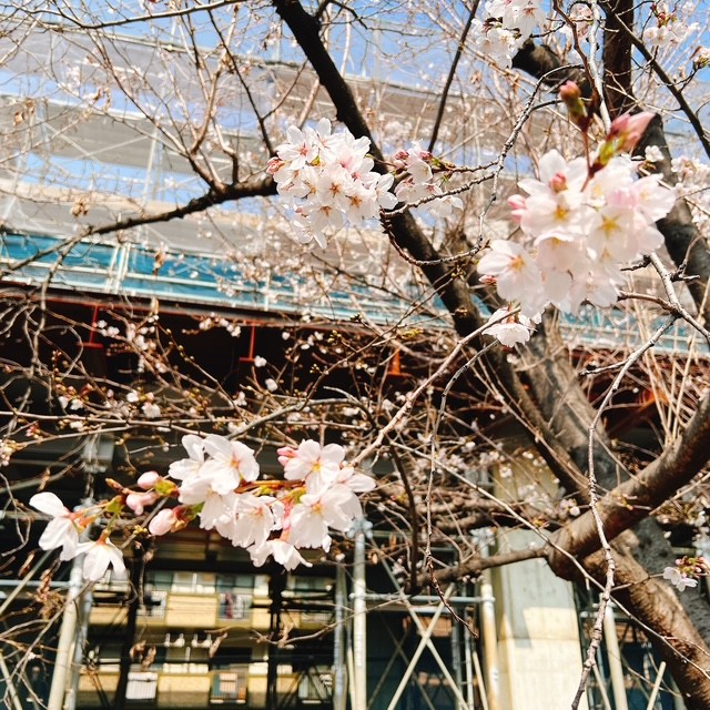 大阪市水道局 tweet media