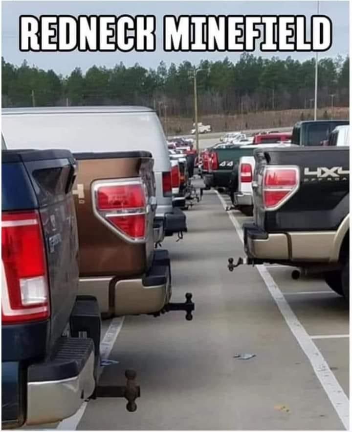 Trumplicans2024.com tweet media