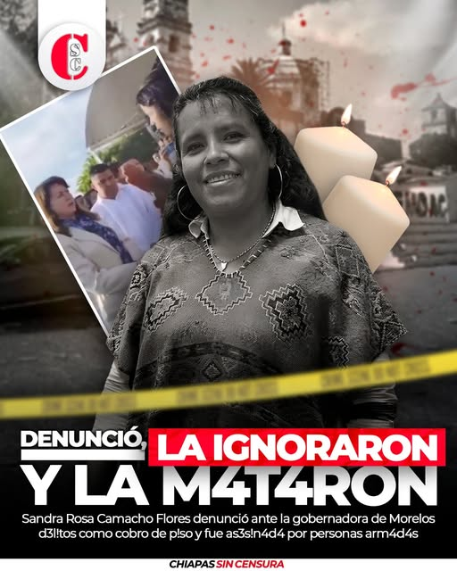 constanza luna tweet media