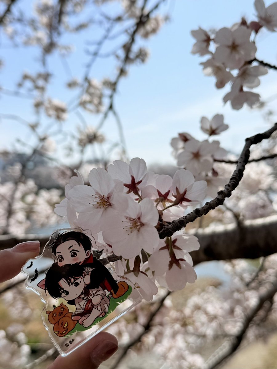 🍀ᩚ몽🍀ᩚ tweet media