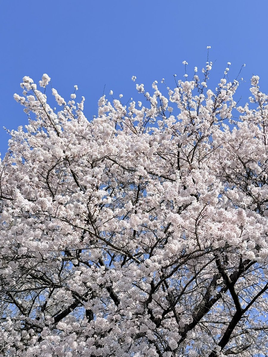 🍀ᩚ몽🍀ᩚ tweet media