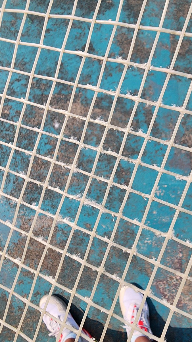 MaaNoi 🐶 tweet media