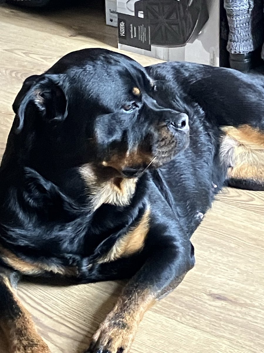 Ksksk 🩵 tweet media