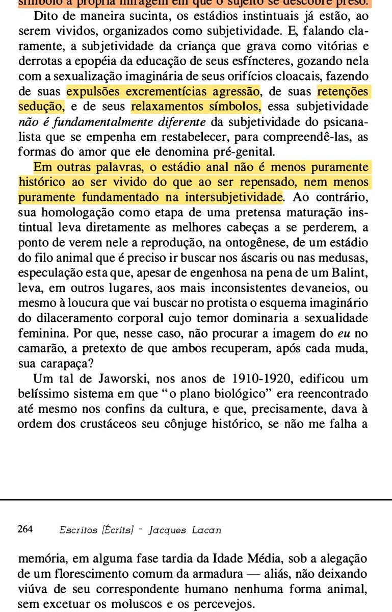 tyrannus melancholicus tweet media