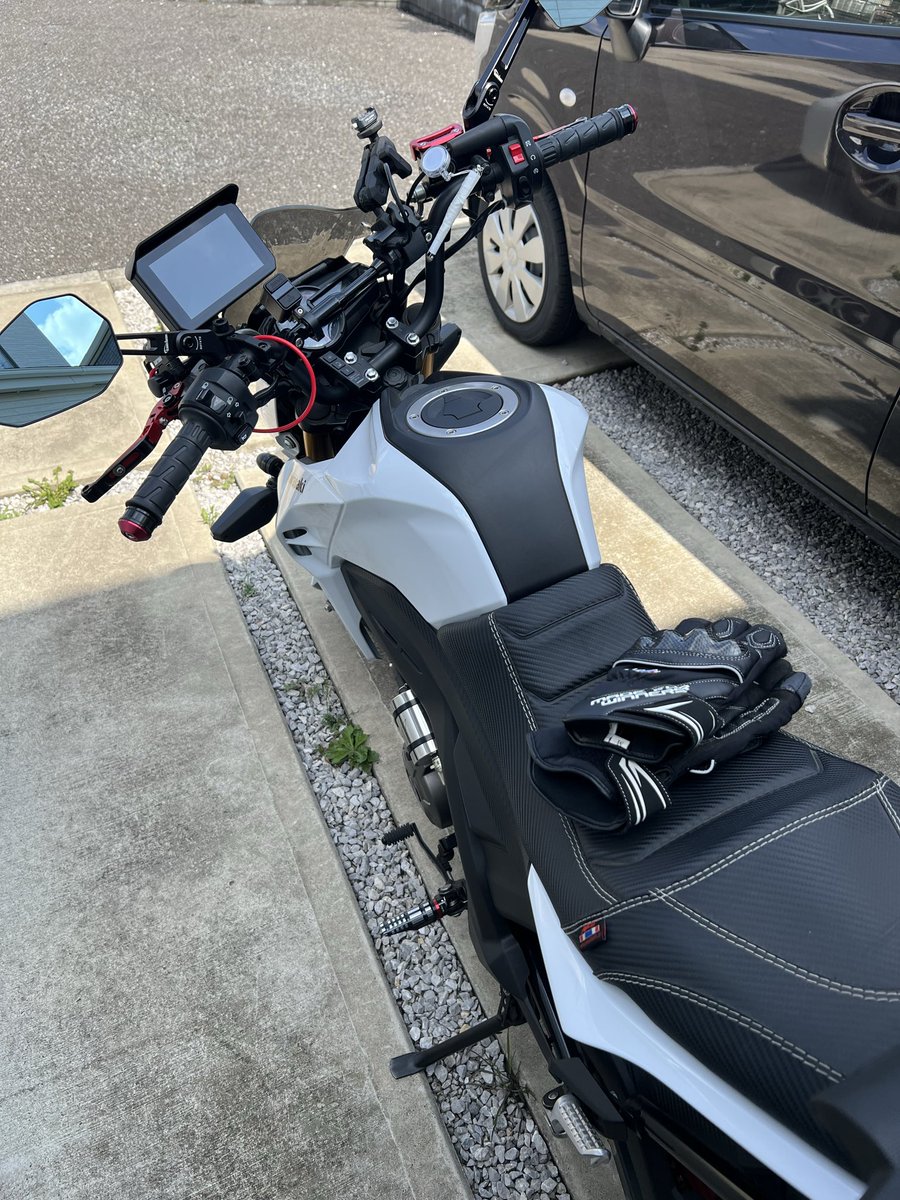 白文鳥のコッコ tweet media