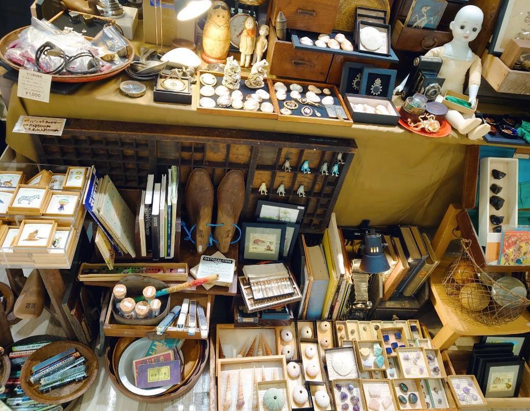 THE STUDY ROOM 仙台店@哺乳類展開催中4月1日〜5月21日まで tweet media