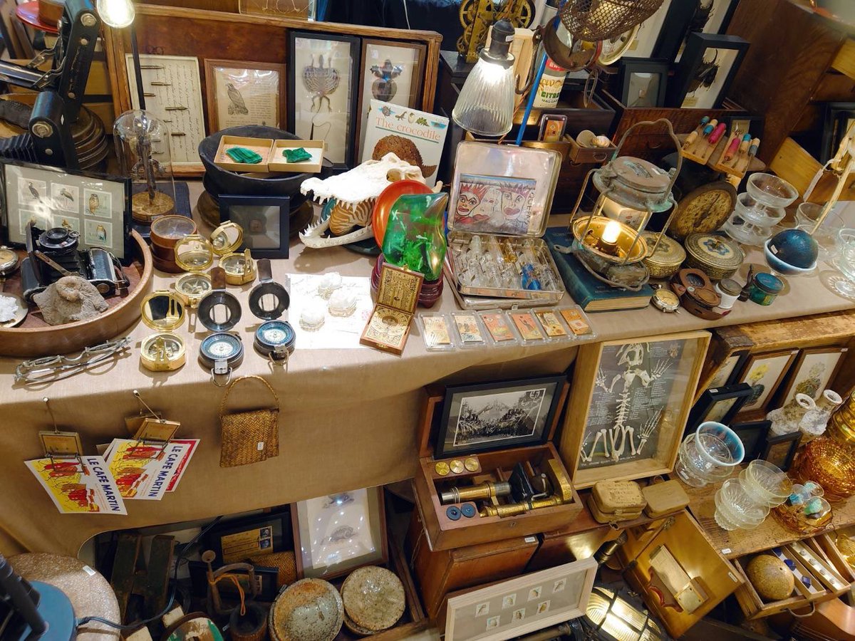 THE STUDY ROOM 仙台店@哺乳類展開催中4月1日〜5月21日まで tweet media