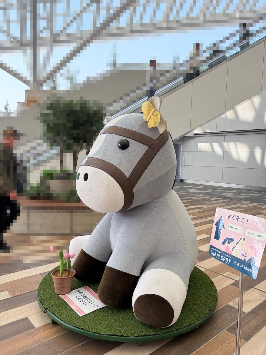 溝渕 麻莉亜 tweet media