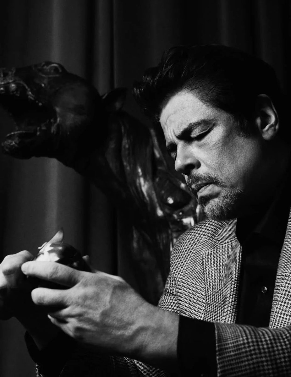 Benicio del toro 🇵🇸 tweet media