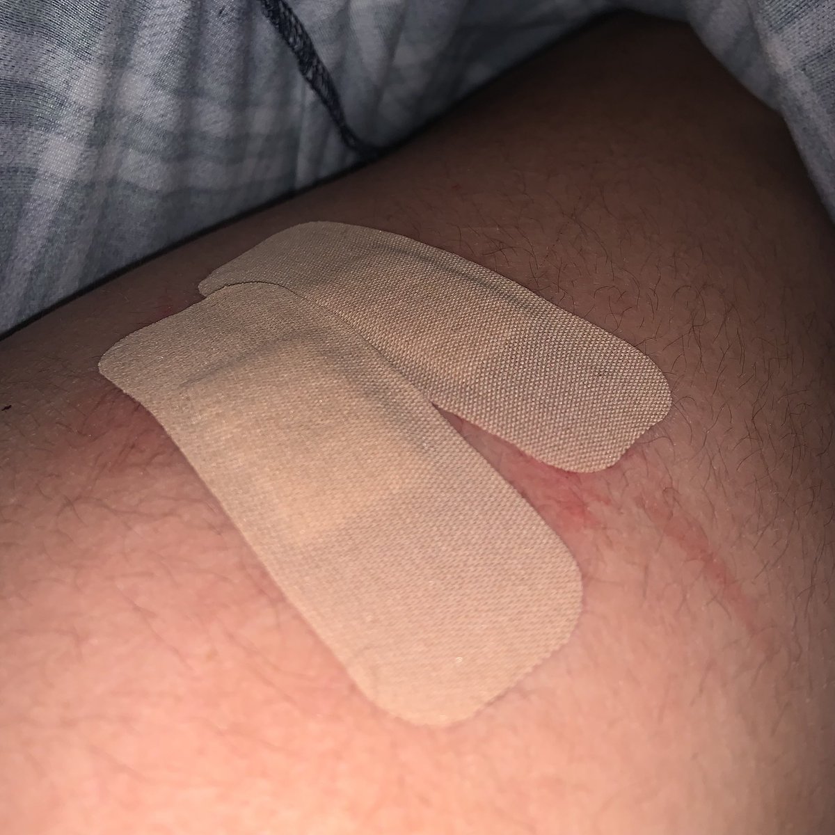 🍼⋮ 𝚋𝚊𝚋𝚢 𝚘𝚏 𝚜𝚑𝚝𝚠𝚝 .ᐟ ꒱ tweet media